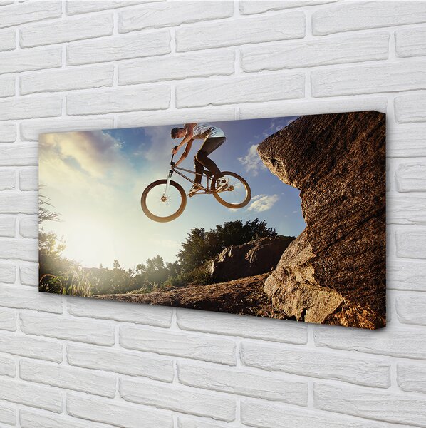 Tablouri canvas Mountain bike nori cer