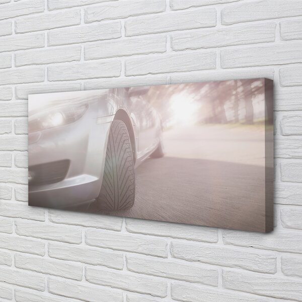 Tablouri canvas Argint copac stradă auto