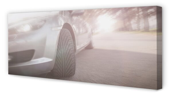 Tablouri canvas Argint copac stradă auto