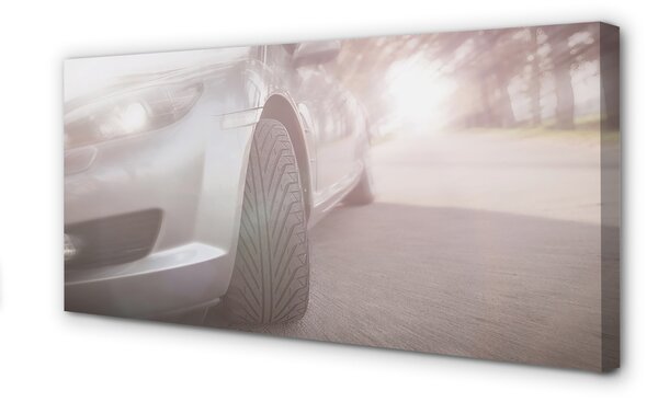 Tablouri canvas Argint copac stradă auto