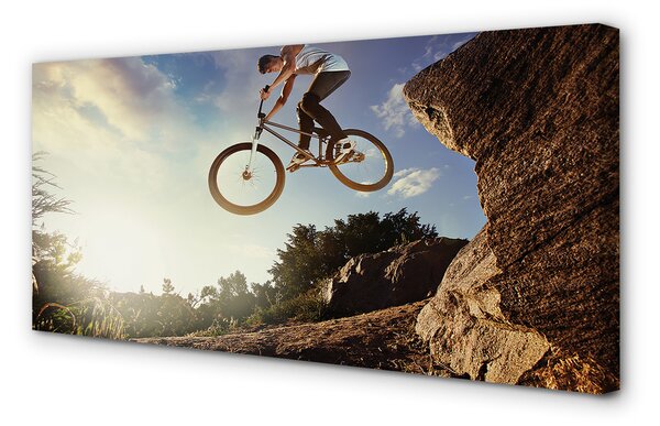 Tablouri canvas Mountain bike nori cer