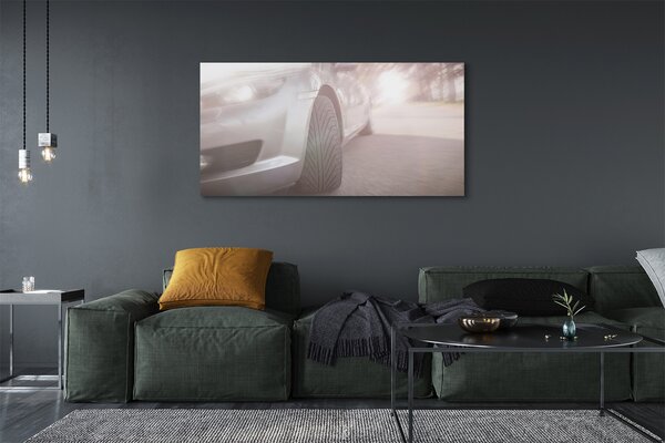 Tablouri canvas Argint copac stradă auto