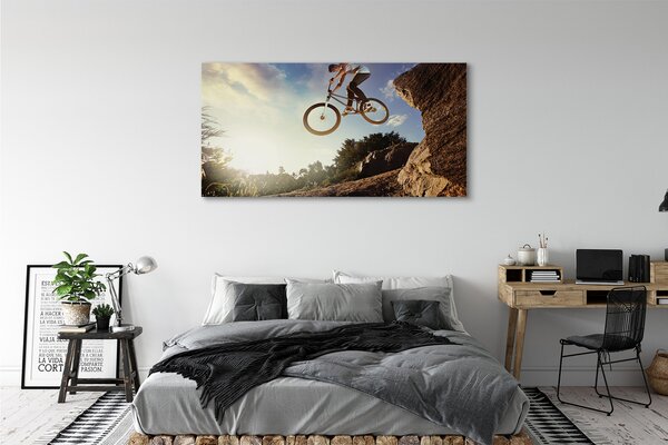 Tablouri canvas Mountain bike nori cer