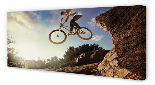 Tablouri canvas Mountain bike nori cer