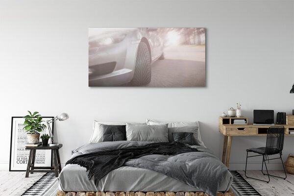 Tablouri canvas Argint copac stradă auto