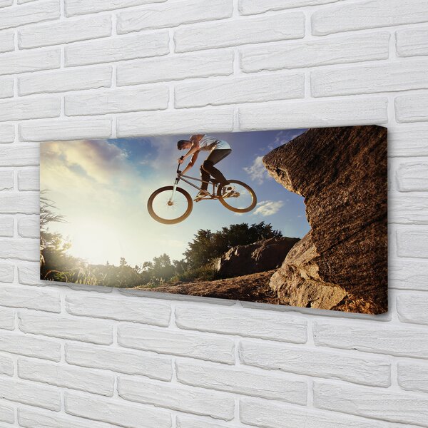 Tablouri canvas Mountain bike nori cer