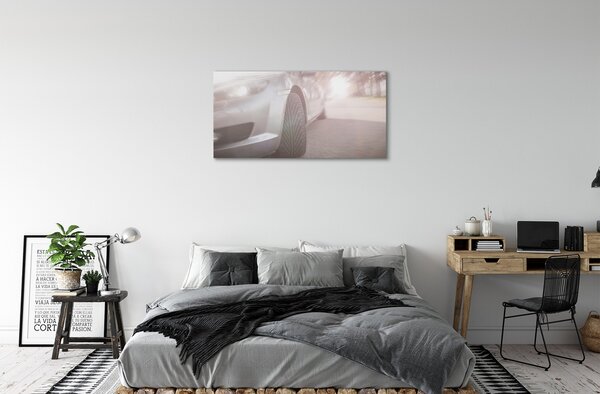 Tablouri canvas Argint copac stradă auto