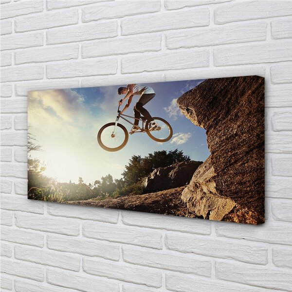 Tablouri canvas Mountain bike nori cer