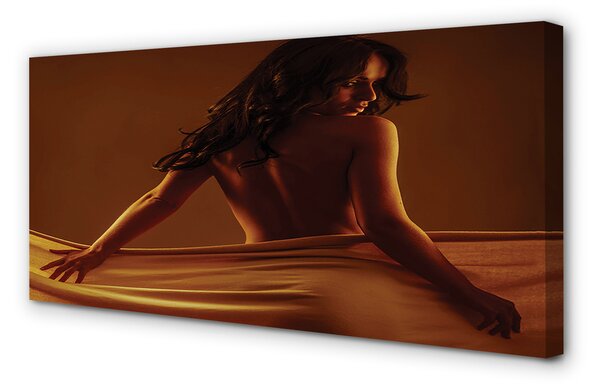 Tablouri canvas Femeia cu materialul