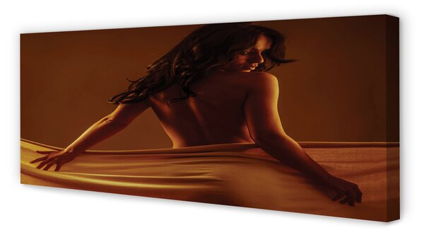 Tablouri canvas Femeia cu materialul