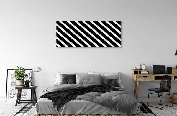 Tablouri canvas dungi zebră