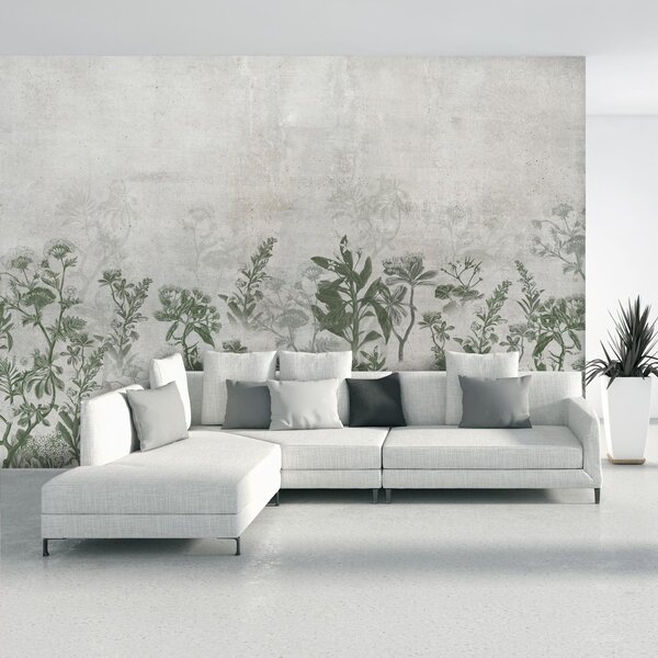 Fototapet - Plante în beton (147x102 cm)