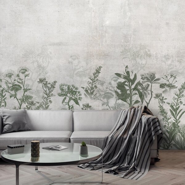 Fototapet - Plante în beton (147x102 cm)