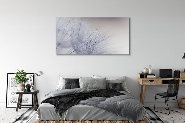 Tablouri canvas Picături de rouă păpădia
