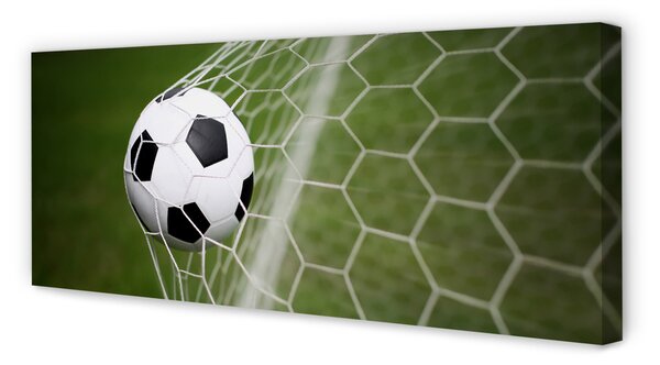 Tablouri canvas Fotbal