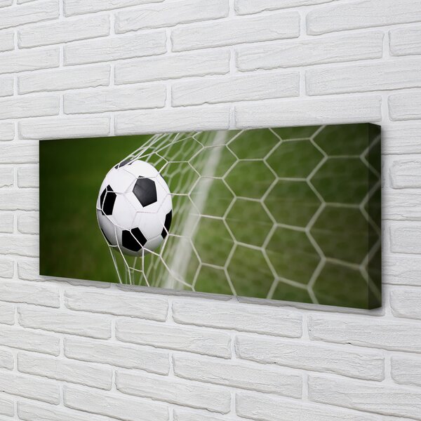 Tablouri canvas Fotbal