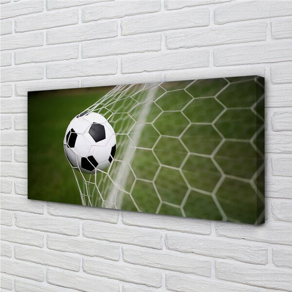 Tablouri canvas Fotbal