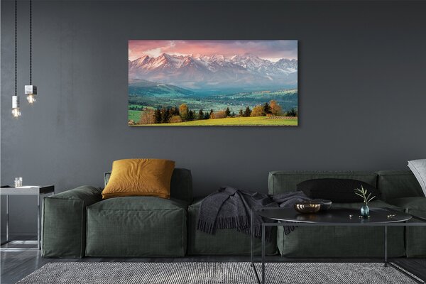Tablouri canvas top box
