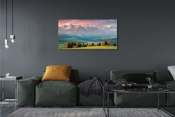 Tablouri canvas top box
