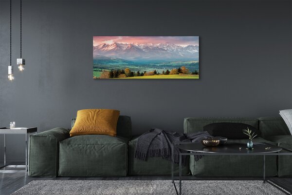 Tablouri canvas top box
