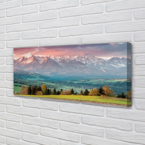 Tablouri canvas top box