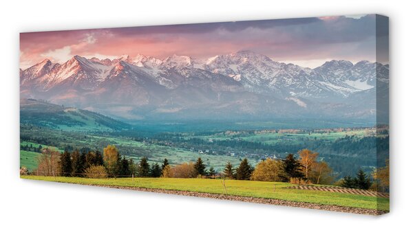 Tablouri canvas top box