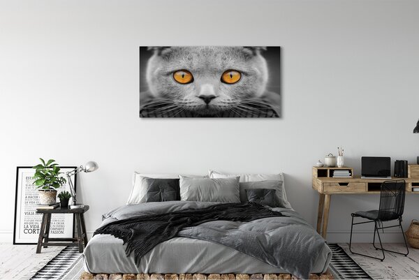 Tablouri canvas pisică gri britanic