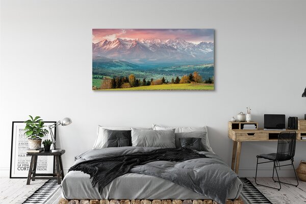 Tablouri canvas top box