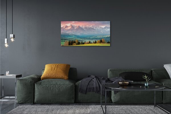 Tablouri canvas top box