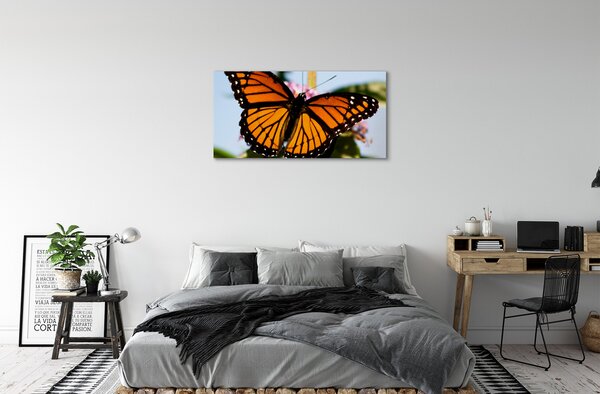 Tablouri canvas fluture colorat