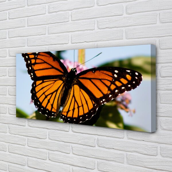 Tablouri canvas fluture colorat