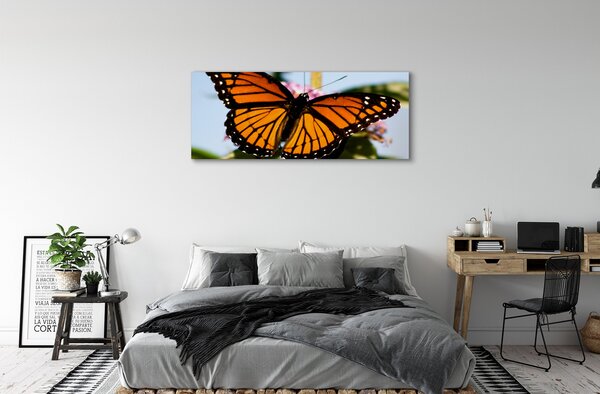 Tablouri canvas fluture colorat