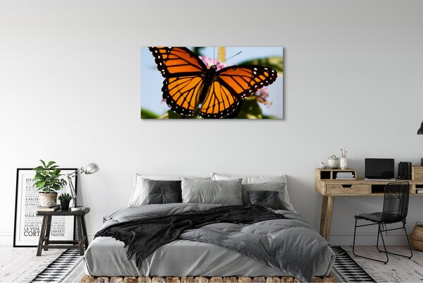 Tablouri canvas fluture colorat