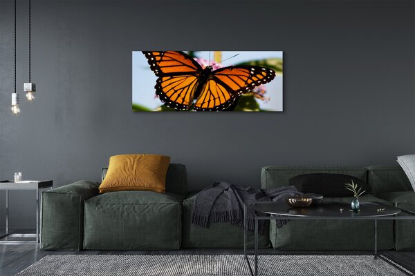 Tablouri canvas fluture colorat