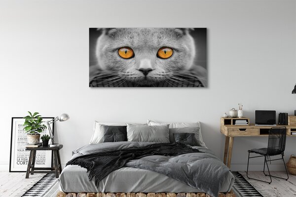 Tablouri canvas pisică gri britanic
