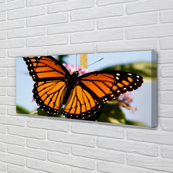 Tablouri canvas fluture colorat
