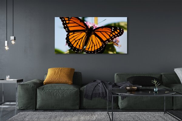 Tablouri canvas fluture colorat