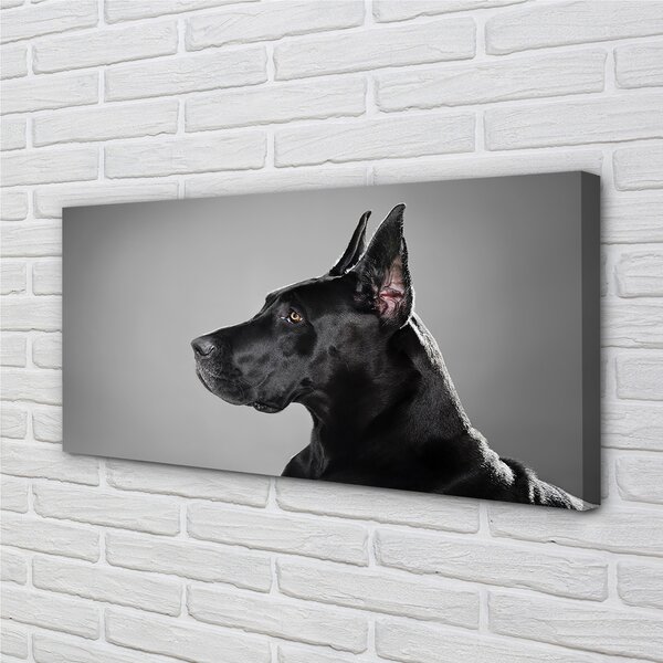 Tablouri canvas Caine negru