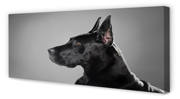 Tablouri canvas Caine negru