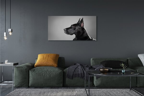 Tablouri canvas Caine negru
