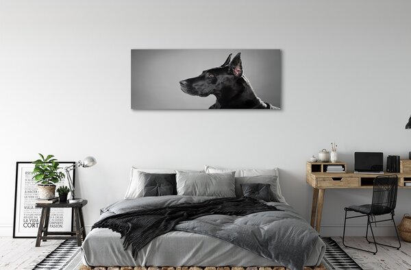 Tablouri canvas Caine negru