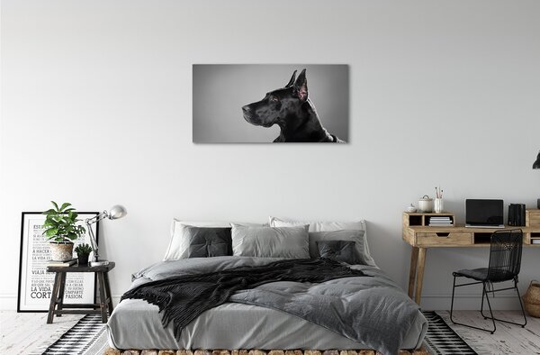 Tablouri canvas Caine negru