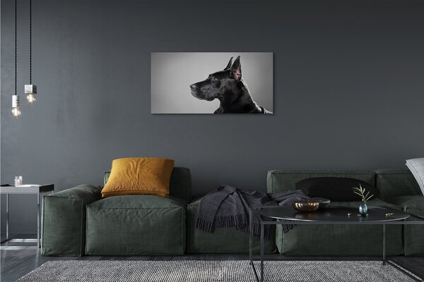 Tablouri canvas Caine negru