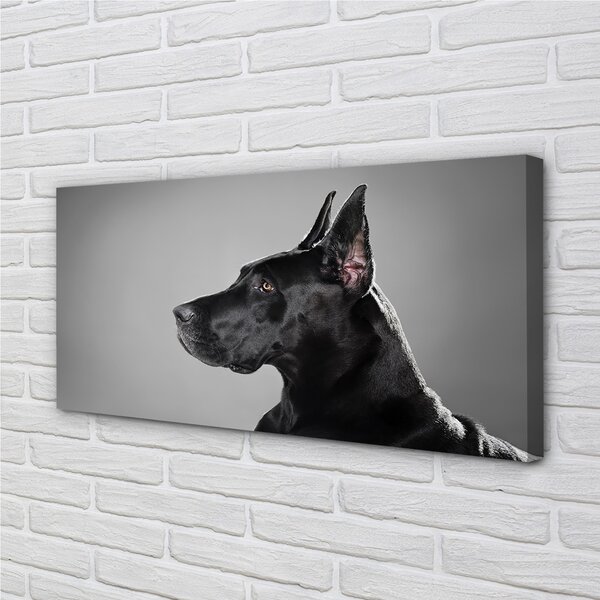 Tablouri canvas Caine negru
