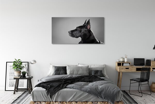Tablouri canvas Caine negru