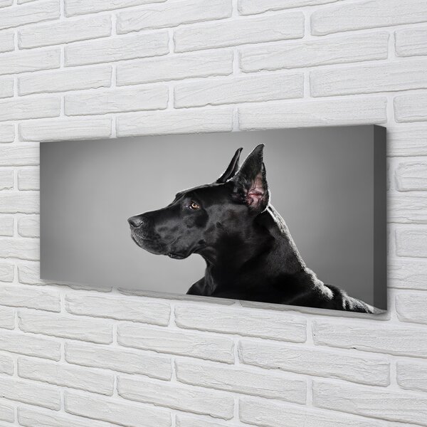 Tablouri canvas Caine negru