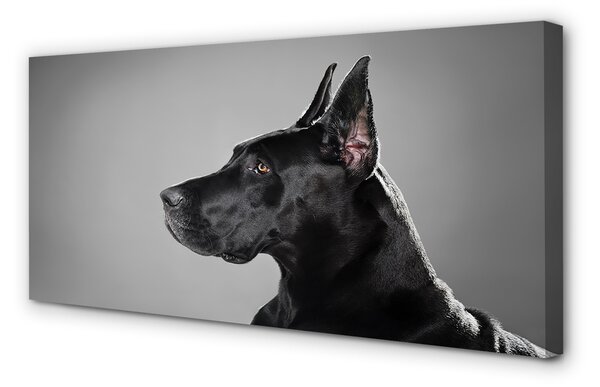 Tablouri canvas Caine negru
