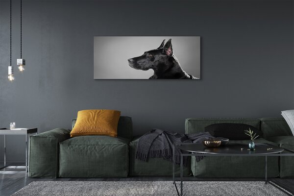 Tablouri canvas Caine negru