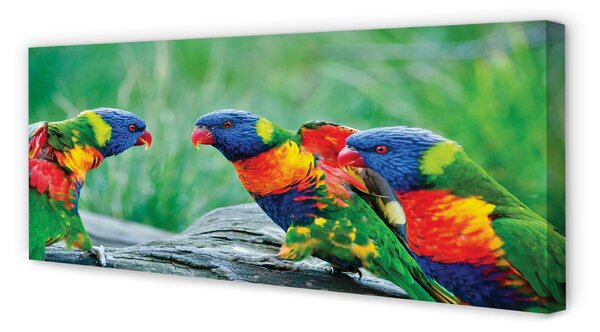 Tablouri canvas copac papagal colorat