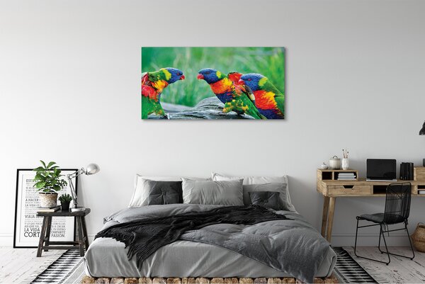 Tablouri canvas copac papagal colorat